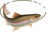 Panguitch Lake Boat Rentals